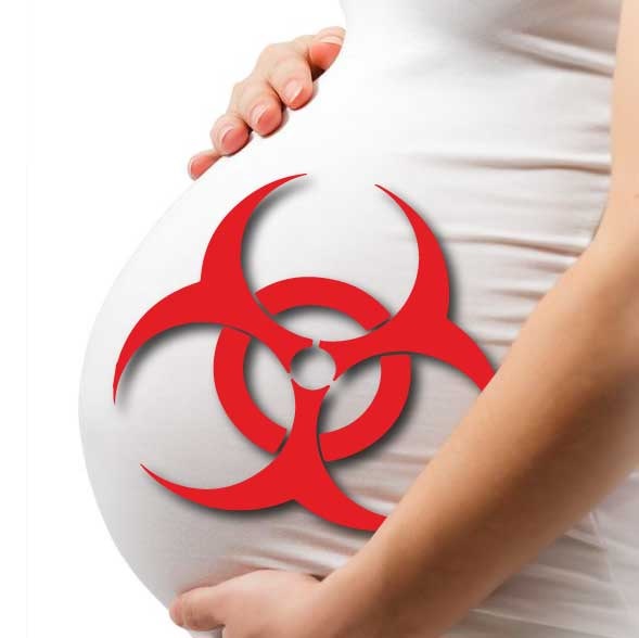 El oscuro secreto de Monsanto: los efectos del herbicida Roundup sobre el feto