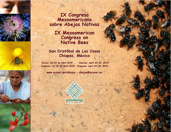 Se viene IX Congreso Mesoamericano sobre Abejas Nativas en Chiapas, México