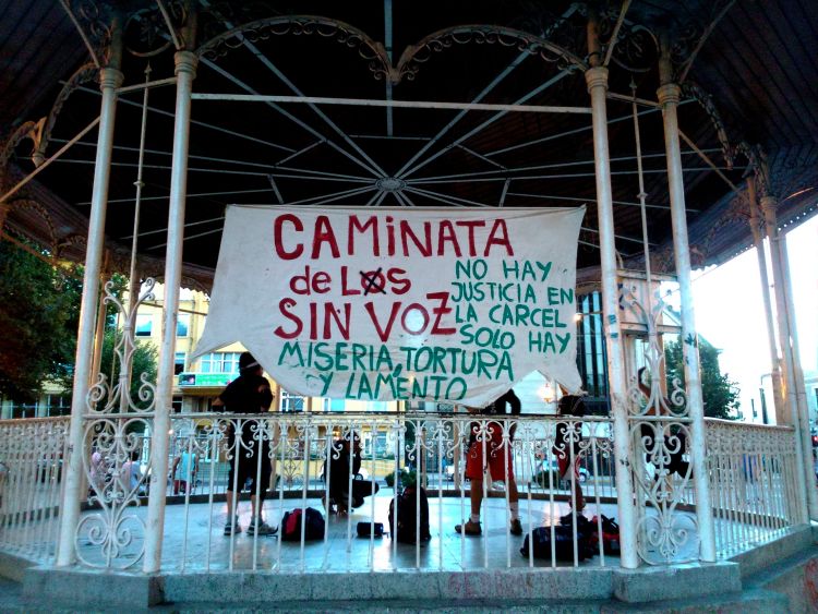 Con música en vivo la “Caminata de los Sin Voz” tendrá su cierre en Valparaíso   