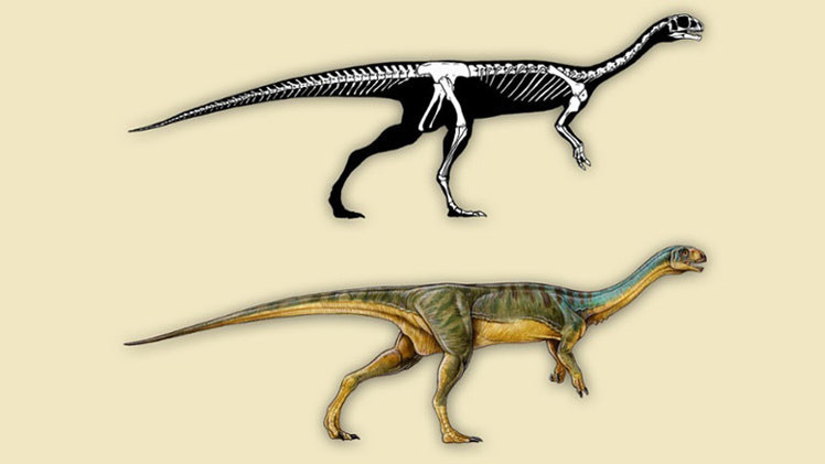 Un chileno de 7 años descubre una nueva especie de dinosaurio