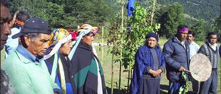 Familias mapuches recuperan complejo sagrado compuesto por espacios ceremoniales ancestrales