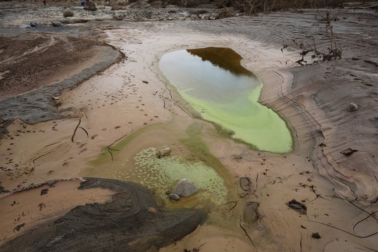 Punta de Choros: Ecologistas exigen al Gobierno muestreo de sedimentos depositados por aluvión