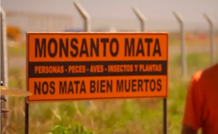 Monsanto, el glifosato y el mercado de la muerte