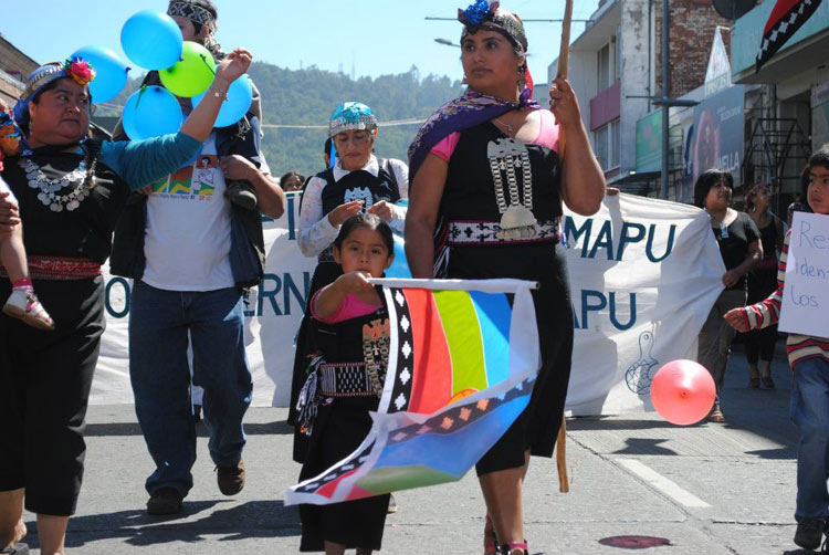 Dirigenta mapuche es la nueva presidenta de mesa de la mujer rural e indígena del Bío Bío