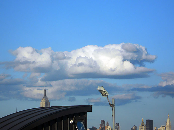 ¿Qué ves en las nubes? 15 fotos increíbles de perros, dinosaurios y dragones