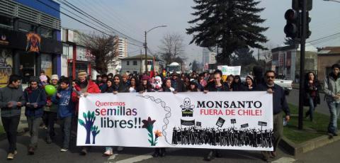 Sábado 23 de mayo: Marcha en Temuco contra Monsanto