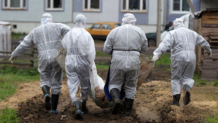 Periodista: «El Pentágono crea laboratorios biológicos secretos en Ucrania»