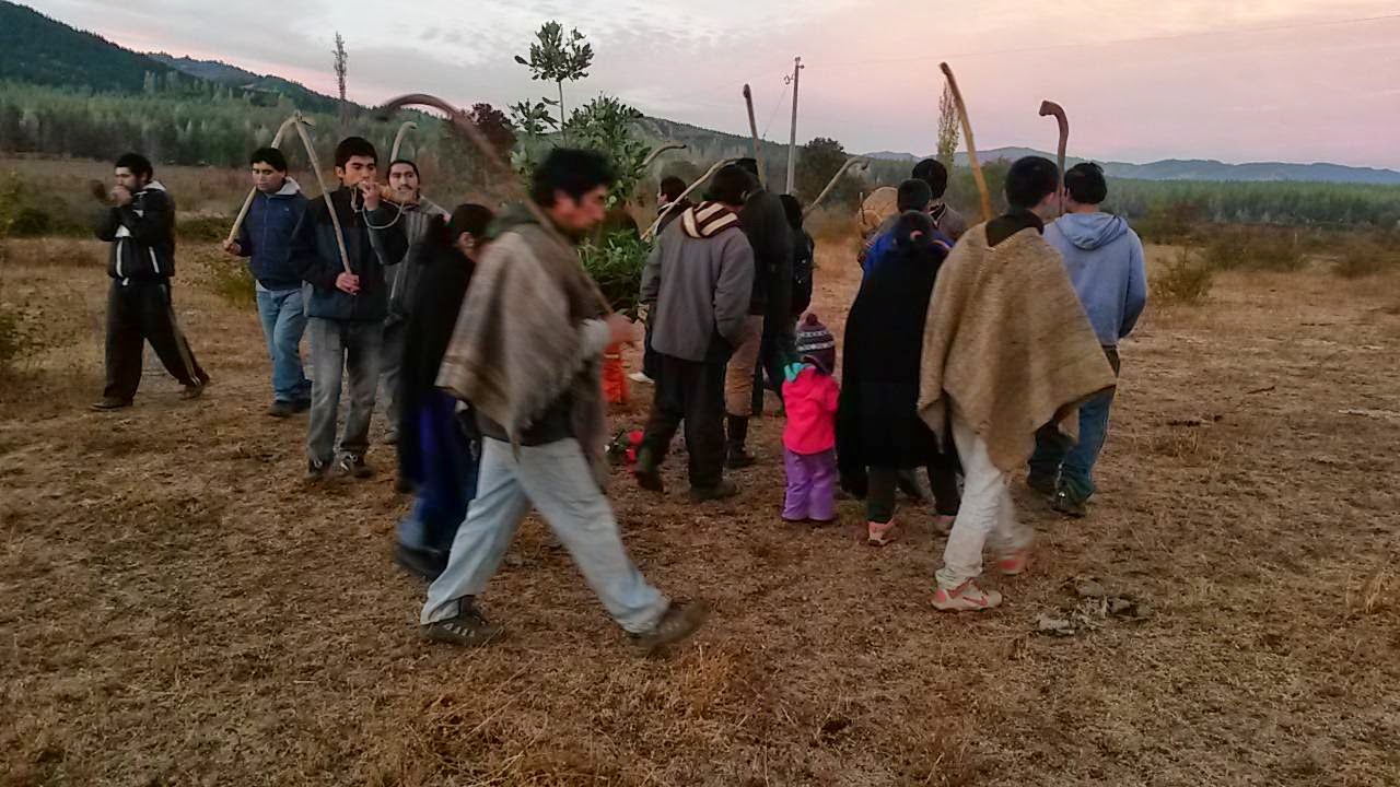 Familias mapuche reciben predios de más de 200 hectáreas en el Bío bío