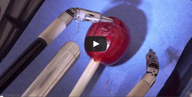 La precisión de este robot cirujano operando la piel de una uva te deja sin palabras
