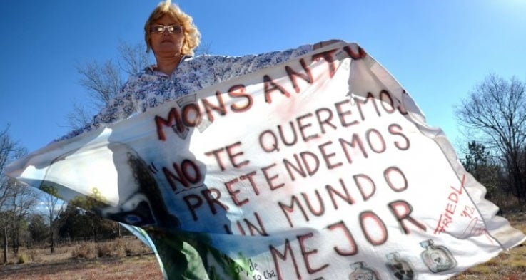 Incendiaron la casa Sofía Gatica, la más ferviente de las activistas contra Monsanto
