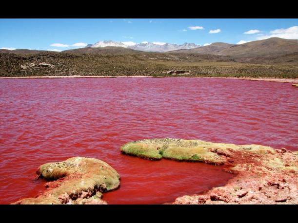 La Laguna Roja y sus misteriosas aguas en Chile