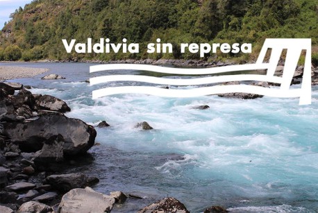 Ambientalistas insisten que central de Colbún es un riesgo para la población y la biodiversidad