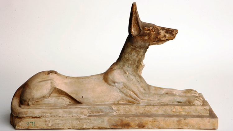 ‘Jauría’ de momias en Egipto: Hallan 8 millones de perros momificados en una fosa