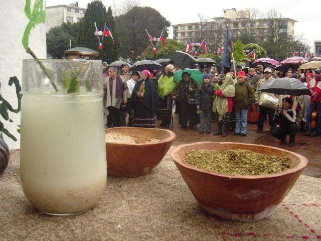 Receta: Muday, la bebida mapuche