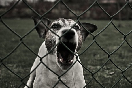 Humor: 9 Tipos de vecinos MOLESTOS a los que todos hemos tenido que soportar