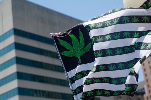 Atención Ñuble: Movilización por la despenalización del autocultivo de Cannabis