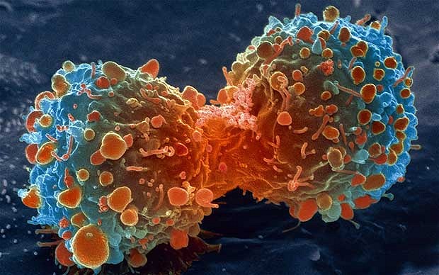 Ciencia y detección temprana contra el cáncer