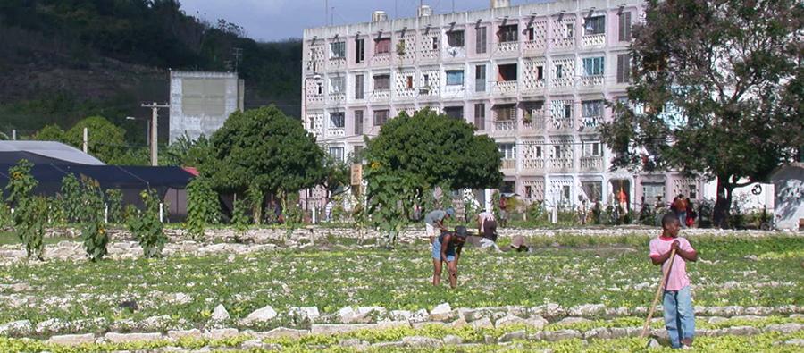 Cuba: agricultura urbana como fuente de desarrollo