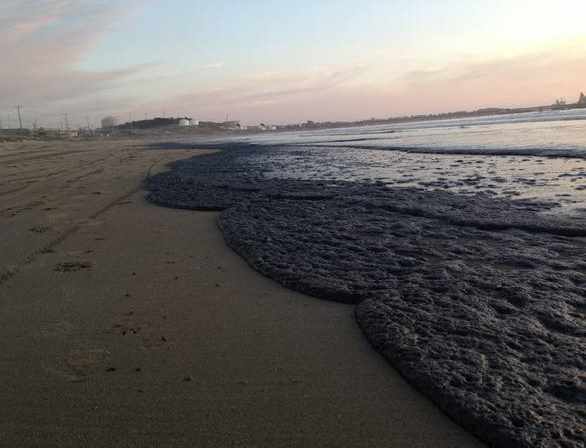 Sin medidas cautelares quedaron  los dos formalizados por el derrame de petróleo en bahía de Quintero