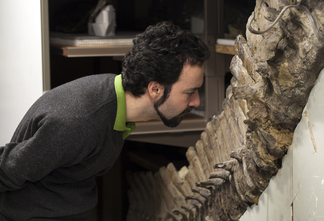 Encuentran células de 75 millones de años preservadas en huesos de dinosaurio