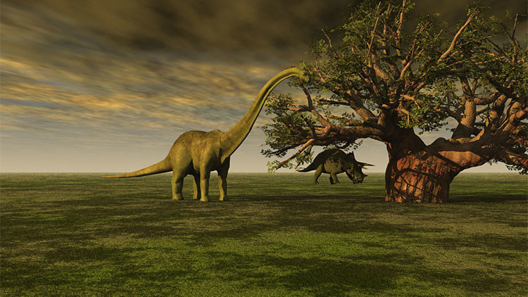 Por qué los dinosaurios evitaron una zona del planeta durante 30 millones  de años?