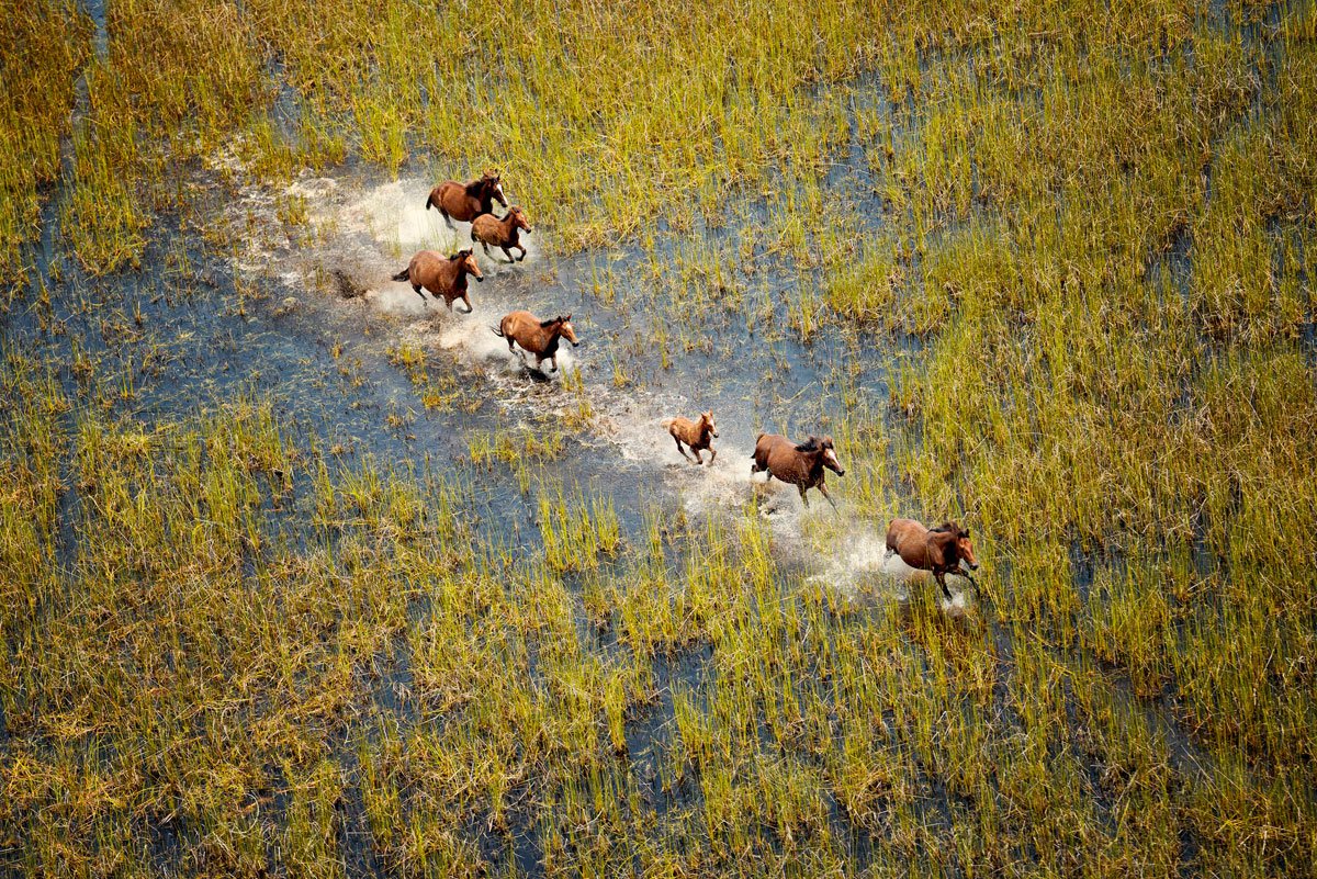 10 fotos aéreas del concurso National Geographic que te harán ver el mundo de otra forma