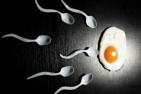 9 curiosidades sobre el semen y los espermatozoides