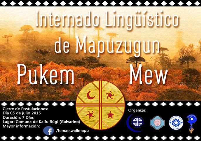 Realizarán «Internado Linguístico de Mapuzugun» para revitalizar la lengua mapuche