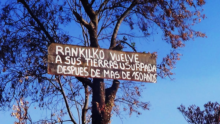 “Nosotros estamos levantando rukas porque esta tierra nos pertenece”