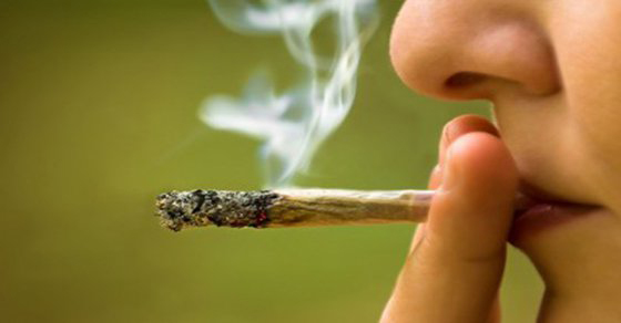 Estudio demuestra que fumar Cannabis es 114 veces más seguro que beber Alcohol!