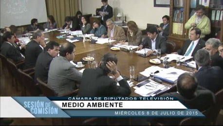 Protección de glaciares: Voto del diputado David Sandoval podría ser fundamental
