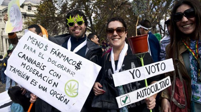 El Ciudadano TV: El gran avance de la Ley de Autocultivo