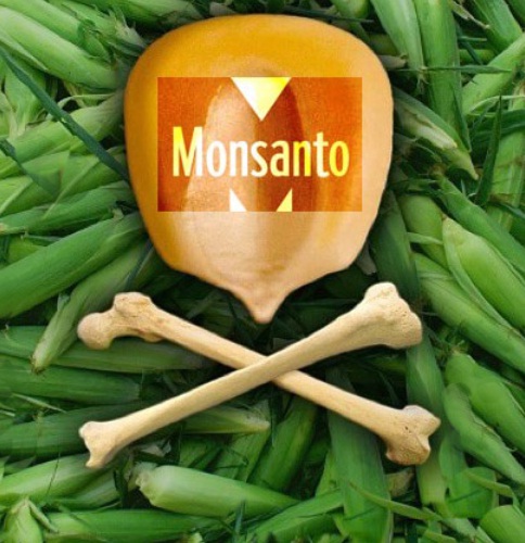 ¿Quién fiscaliza a Monsanto en Chile?