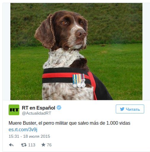 Muere Buster, el perro militar que salvo más de 1.000 vidas