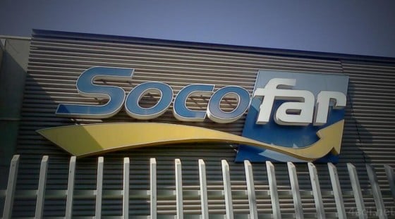 Diputado Melo (PS) por escáner en SOCOFAR: “La empresa está vulnerando la dignidad y privacidad de sus trabajadores”