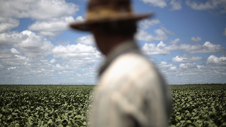 Autosuficiencia total: América Latina y el Caribe podrían dejar de importar alimentos