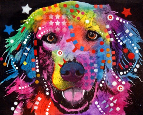 Colores y personalidad: ¿Cuál es el tuyo?