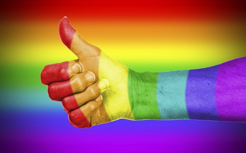 “Año de la Justicia” para la diversidad sexual: Denuncias por Homofobia aumentan 9% en 2015