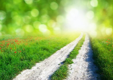 3 instintos humanos que no suelen fallar