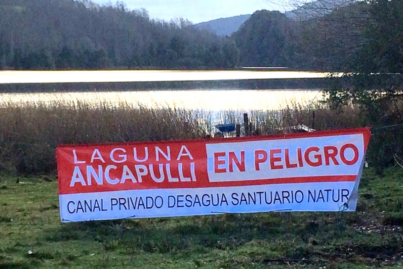 El drama del «exterminio ambiental» de la laguna Ancapulli en Pucón