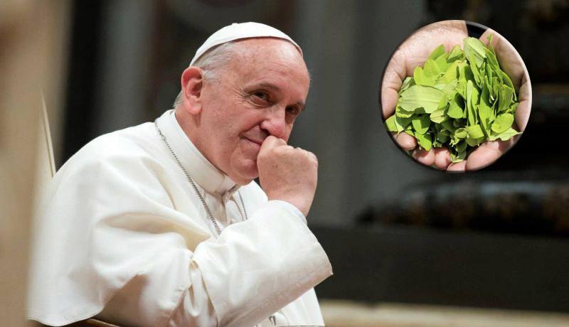 Papa Francisco masticará hojas de coca como lo hacen millones de indígenas