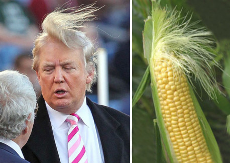 20 cosas que lucen exactamente como Donald Trump