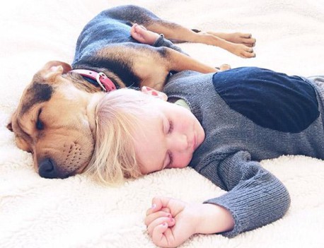 Estos son los motivos que dan los científicos para dormir la siesta