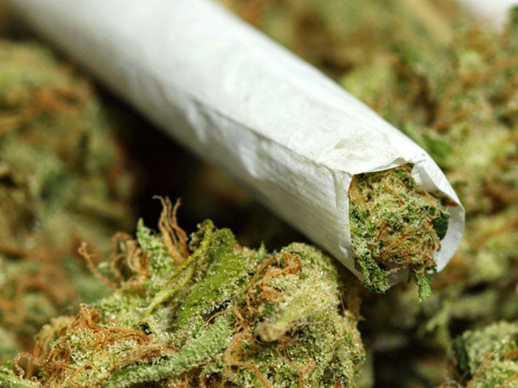 Fumar marihuana no tiene ningún efecto negativo en la salud, según estudio