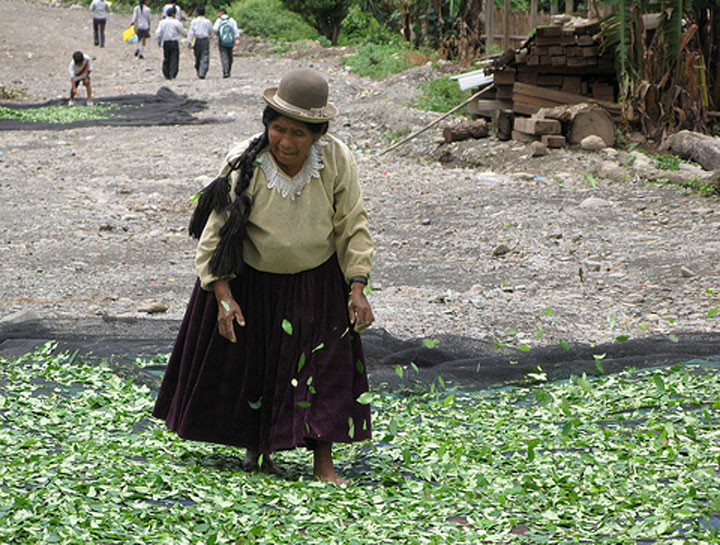 FAO defiende el acceso de las mujeres a la tierra en América Latina y el Caribe