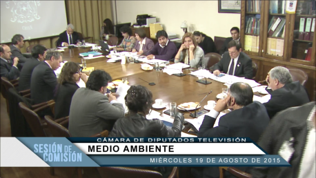 Diputados se niegan a aprobar propuesta del ejecutivo que protege solo a «glaciares relevantes»