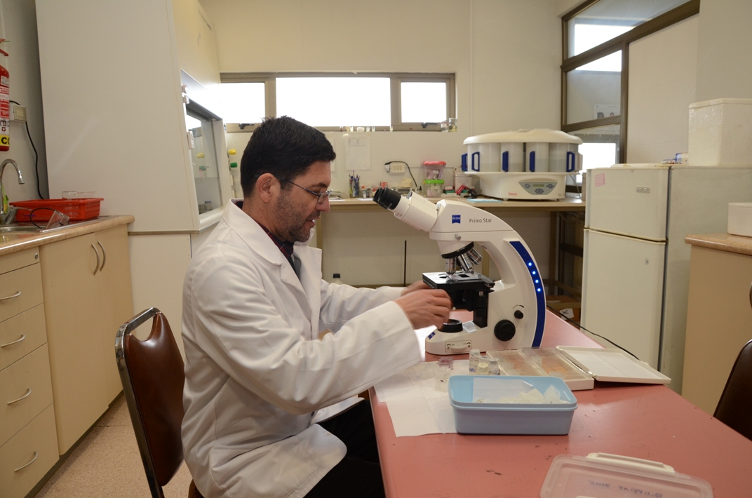 U Talca investiga compuestos naturales que pueden prevenir el cáncer bucal