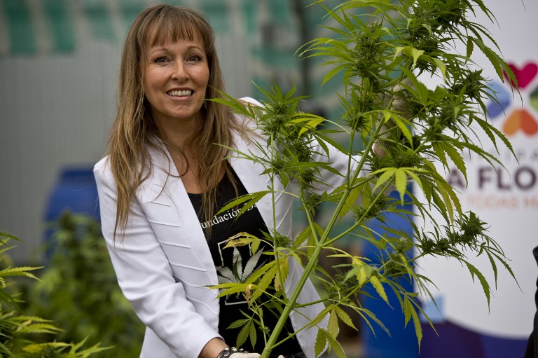 Ana María Gazmuri: “En Chile hoy en día el autocultivo es legal”