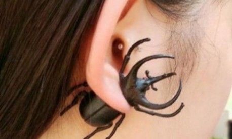 “Kimo-kawa”: La nueva tendencia que introduce insectos en la piel