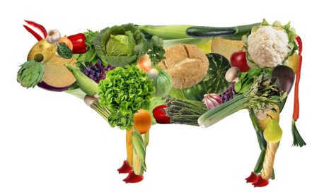 «Las personas que no comen carne creen que no matan animales, pero sí lo hacen»
